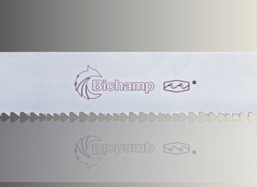 AA (yu)|(zh)ͨ